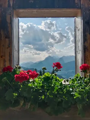Naturlandschaft in der Nähe der Ferienwohnung
