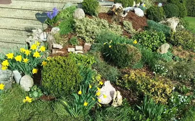 Ein Garten an der Unterkunft Haus Reiter