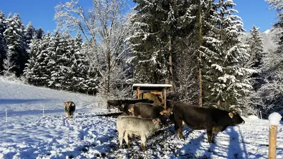 Haus Reiter im Winter