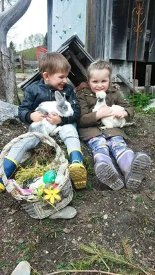 Kinder, die in der Unterkunft Schirfhof übernachten
