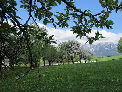 Naturlandschaft in der Nähe des Bauernhofs