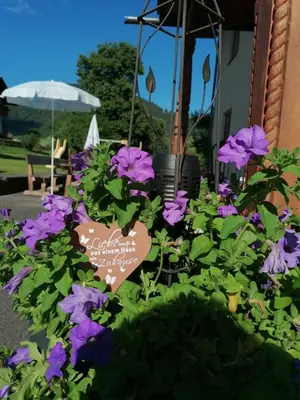 Ein Garten an der Unterkunft Lasserhof