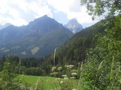 Naturlandschaft in der Nähe der Ferienwohnung