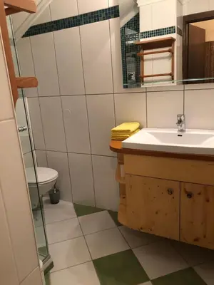 Ein Badezimmer in der Unterkunft Waldhaus