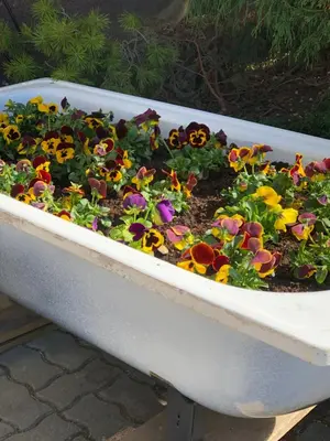 Ein Garten an der Unterkunft Frühstückspension Eichberger