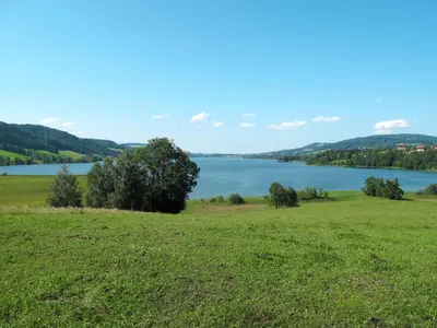 Naturlandschaft in der Nähe der Ferienwohnung