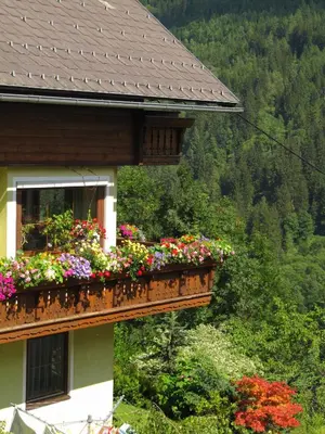 Ein Garten an der Unterkunft Haus Grundner