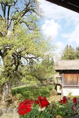 Ein Garten an der Unterkunft Steinerbauer