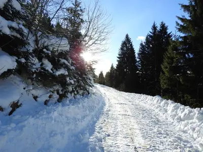 Biobauernhof Spieszschweiger im Winter