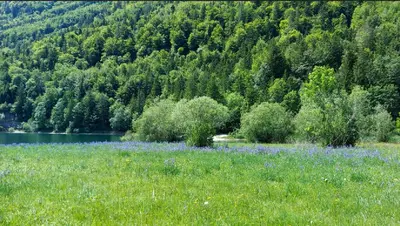 Naturlandschaft in der Nähe des Ferienhauses