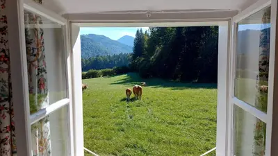 Ein allgemeiner Bergblick oder ein Berglick von des Ferienhauses aus