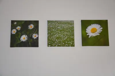 Grundriss der Unterkunft Bauernhof 