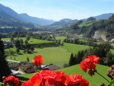 Naturlandschaft in der Nähe der Pension