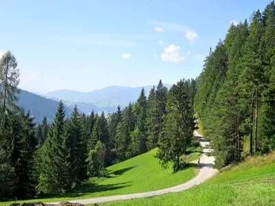 Naturlandschaft in der Nähe der Ferienwohnung