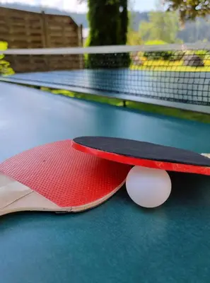 Tischtennis in der Unterkunft Hotel Matschner oder in der Nähe