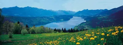 Naturlandschaft in der Nähe des Hotels