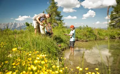 Naturlandschaft in der Nähe des Hotels