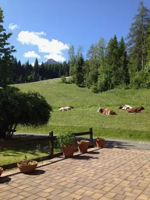 Ein Garten an der Unterkunft Austrian Alps - Haus Kienreich