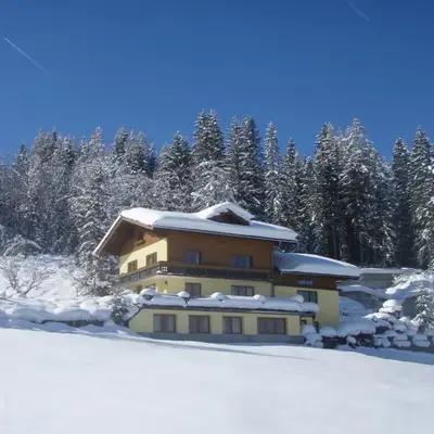 Austrian Alps - Haus Kienreich