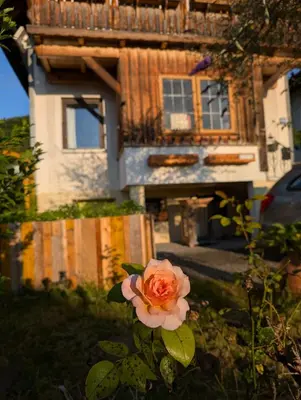 Ein Garten an der Unterkunft Ferienhaus in der Schlipfing mit Garten