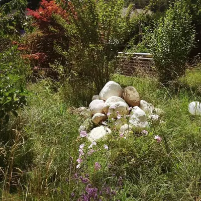 Ein Garten an der Unterkunft Ferienhaus in der Schlipfing mit Garten