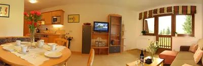 TV/Unterhaltungsangebot in der Unterkunft Haus Dachstein