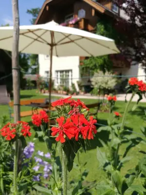 Ein Garten an der Unterkunft Landhaus Leitner am Wolfgangsee