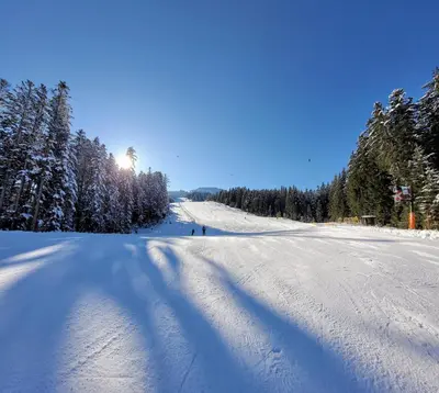 Alpenhaus Dachstein.Zauber im Winter