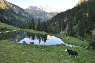Naturlandschaft in der Nähe des Gasthauses