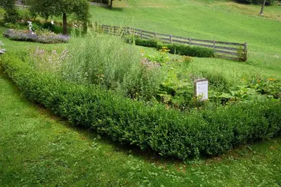 Ein Garten an der Unterkunft Appartement Ferienhof Ortnergut