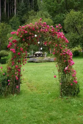 Ein Garten an der Unterkunft Appartement Ferienhof Ortnergut