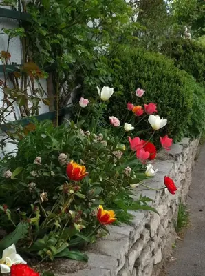 Ein Garten an der Unterkunft Appartement Ferienhof Ortnergut