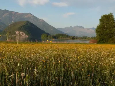 Naturlandschaft in der Nähe der Ferienwohnung