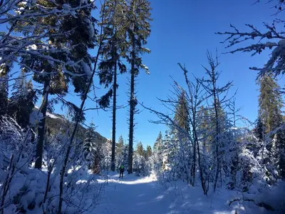 Oberrainbauer im Winter