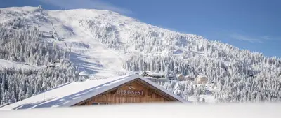Grundriss der Unterkunft Bergnest die Frühstückspension