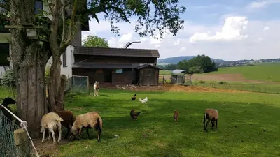 Tiere in diesem Bauernhof oder in der Nähe