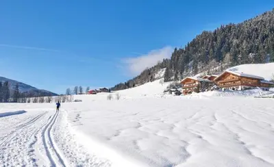 Alpin Apart im Winter