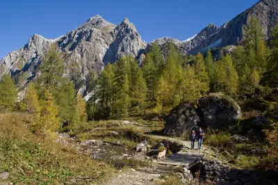 Naturlandschaft in der Nähe der Pension
