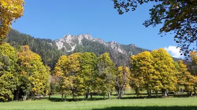 Naturlandschaft in der Nähe der Pension