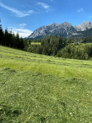 Naturlandschaft in der Nähe der Pension