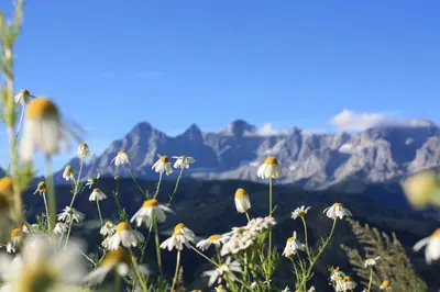 Naturlandschaft in der Nähe des Chalets