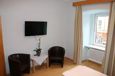 TV/Unterhaltungsangebot in der Unterkunft Gasthof Goldene Traube