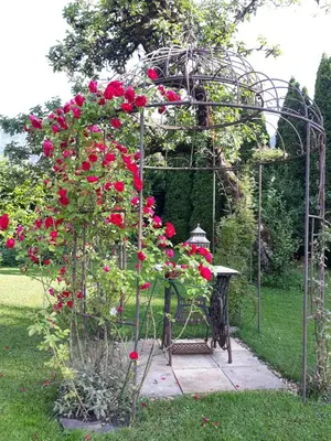 Ein Garten an der Unterkunft Appartementhaus Grill
