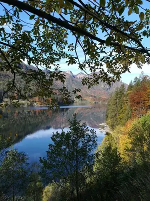 Naturlandschaft in der Nähe der Ferienwohnung