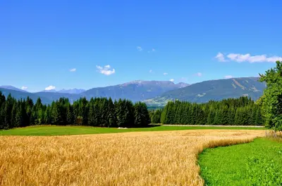 Naturlandschaft in der Nähe des Bauernhofs