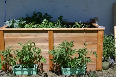 Ein Garten an der Unterkunft Pension Mitterwallner