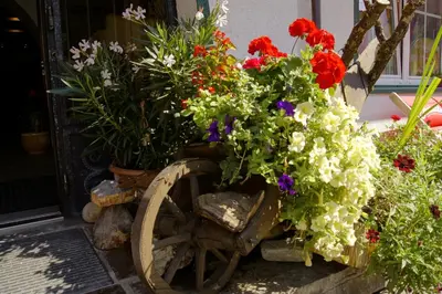 Ein Garten an der Unterkunft Appartement Jagdhof