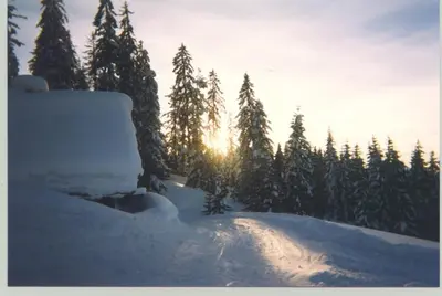 Appartements Pension Elfi im Winter
