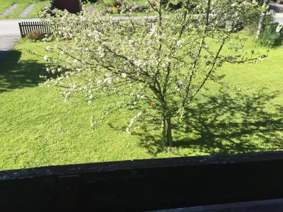 Ein Garten an der Unterkunft Ferienwohnung Am Sonnenhang