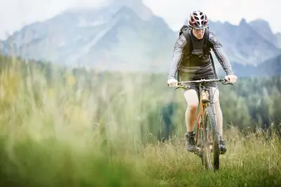 Radfahren an der Unterkunft Hotel Neubergerhof oder in der Nähe